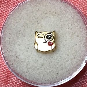 3/$10 Origami Owl Winking Owl Charm
